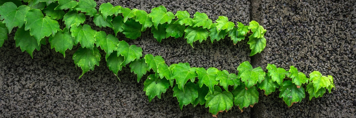 一般社団法人滋賀県ペストコントロール協会について